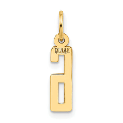 14K Yellow Gold Small Elongated Number 6 Charm