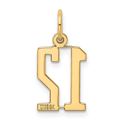 14K Yellow Gold Small Elongated Number 12 Charm