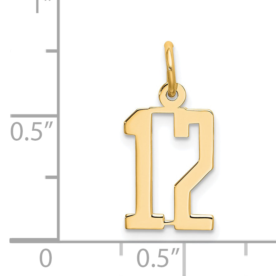 14K Yellow Gold Small Elongated Number 12 Charm