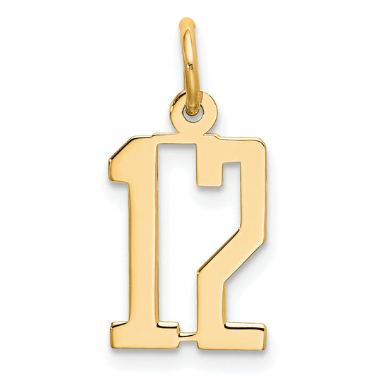 14K Yellow Gold Small Elongated Number 12 Charm