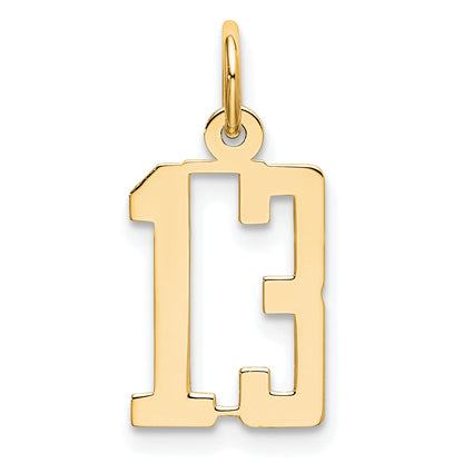 14K Yellow Gold Small Elongated Number 13 Charm