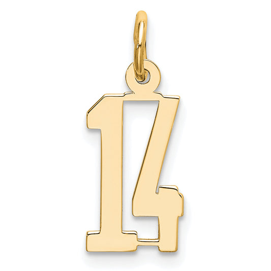 14K Yellow Gold Small Elongated Number 14 Charm