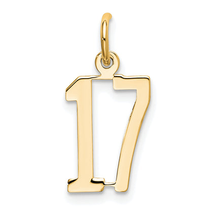 14K Yellow Gold Small Elongated Number 17 Charm