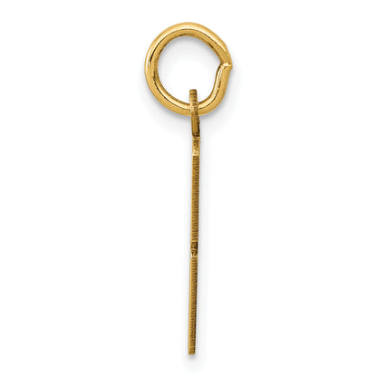 14K Yellow Gold Small Elongated Number 18 Charm