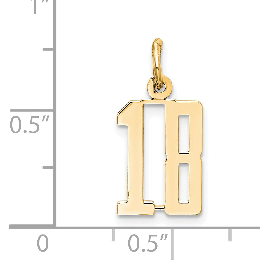 14K Yellow Gold Small Elongated Number 18 Charm