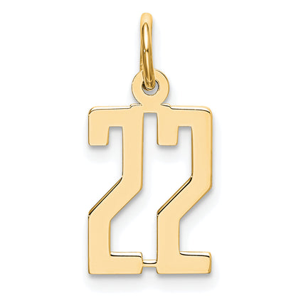 14K Yellow Gold Small Elongated Number 22 Charm