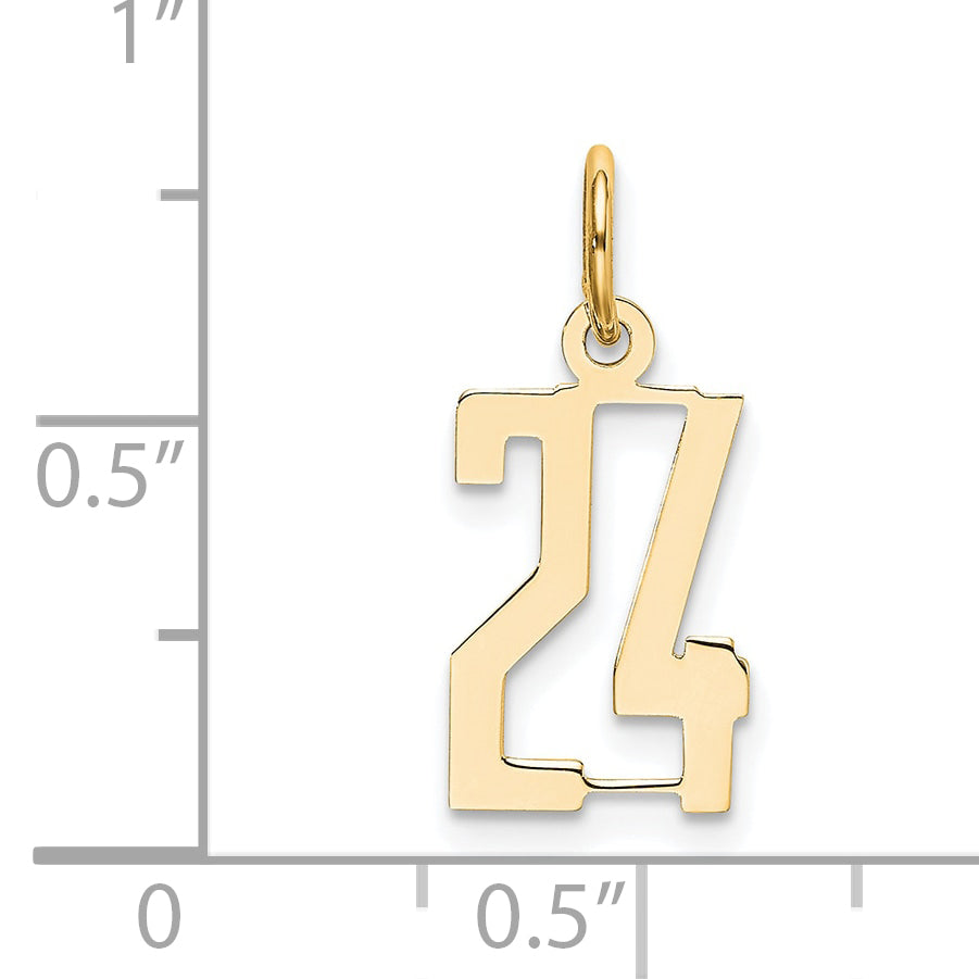 14K Yellow Gold Small Elongated Number 24 Charm