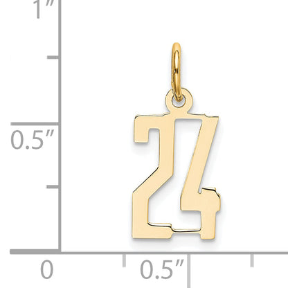 14K Yellow Gold Small Elongated Number 24 Charm