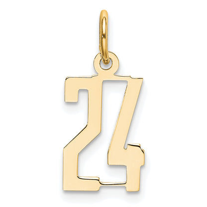 14K Yellow Gold Small Elongated Number 24 Charm