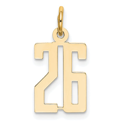14K Yellow Gold Small Elongated Number 26 Charm