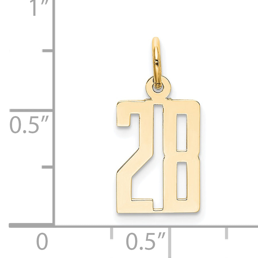 14K Yellow Gold Small Elongated Number 28 Charm