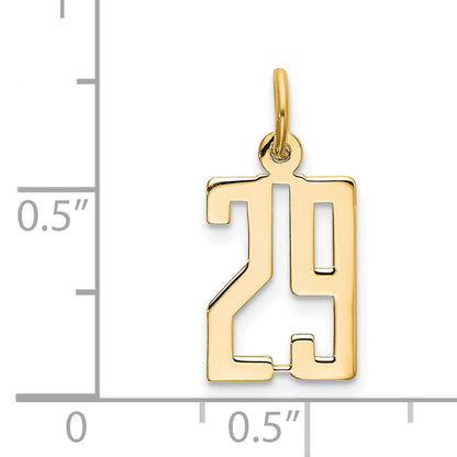 14K Yellow Gold Small Elongated Number 29 Charm