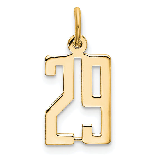 14K Yellow Gold Small Elongated Number 29 Charm