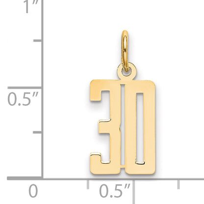 14K Yellow Gold Small Elongated Number 30 Charm