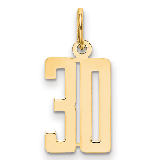 14K Yellow Gold Small Elongated Number 30 Charm