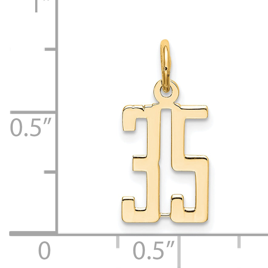 14K Yellow Gold Small Elongated Number 35 Charm