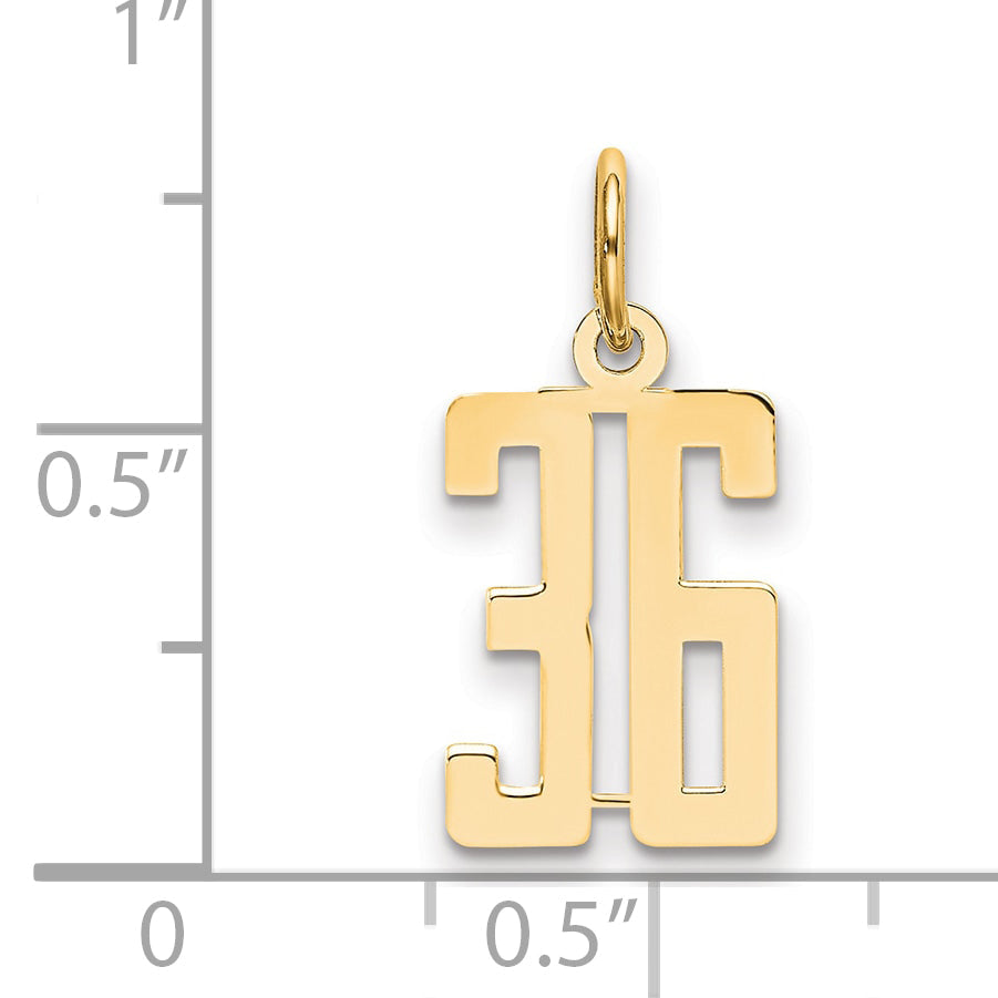 14K Yellow Gold Small Elongated Number 36 Charm