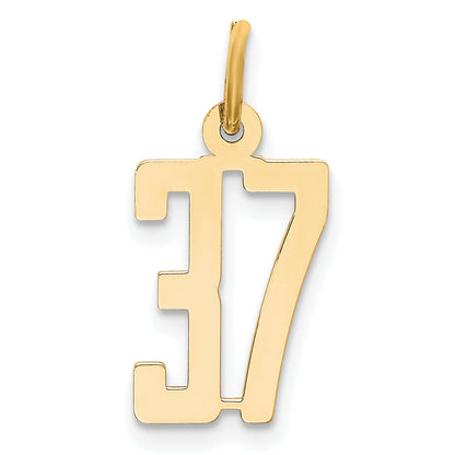 14K Yellow Gold Small Elongated Number 37 Charm