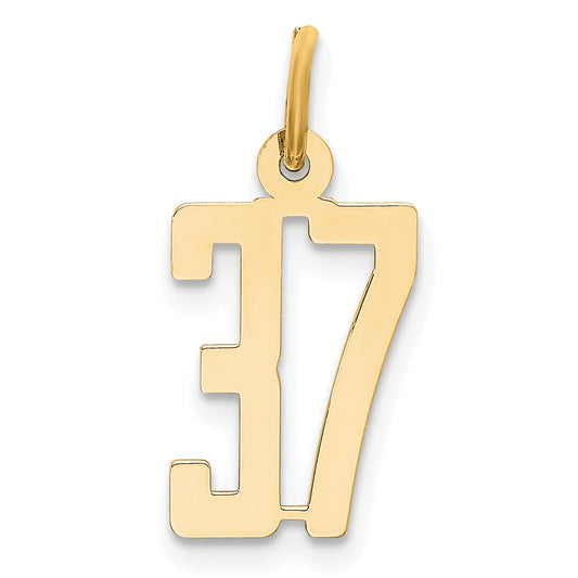 14K Yellow Gold Small Elongated Number 37 Charm