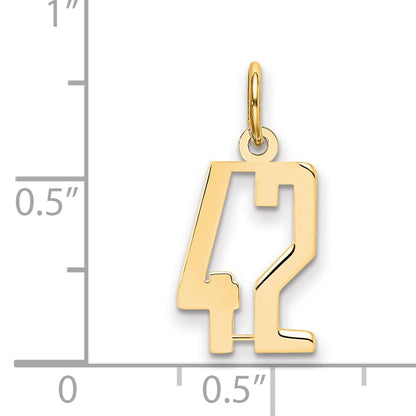 14K Yellow Gold Small Elongated Number 42 Charm