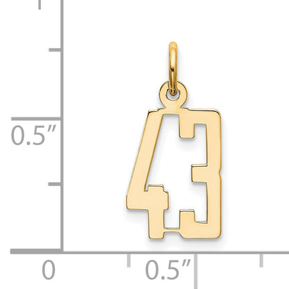 14K Yellow Gold Small Elongated Number 43 Charm