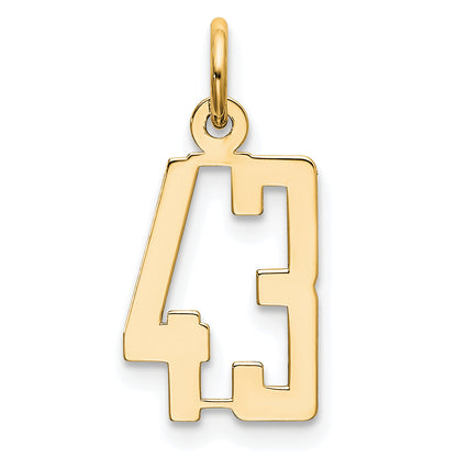 14K Yellow Gold Small Elongated Number 43 Charm