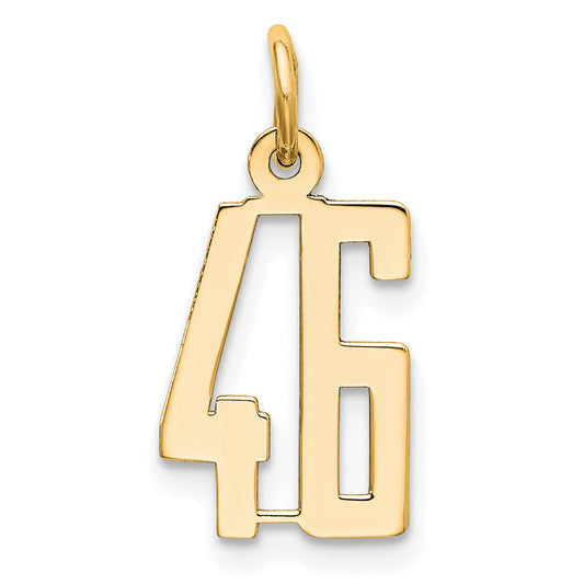 14K Yellow Gold Small Elongated Number 46 Charm