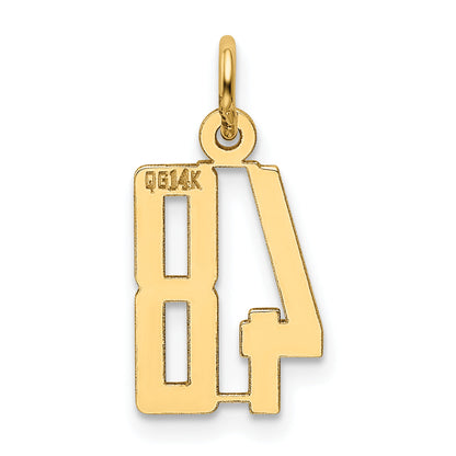 14K Yellow Gold Small Elongated Number 48 Charm