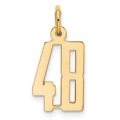 14K Yellow Gold Small Elongated Number 48 Charm
