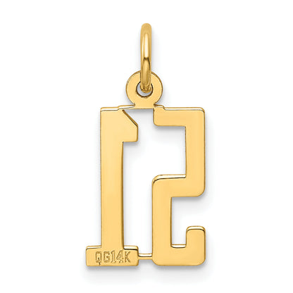 14K Yellow Gold Small Elongated Number 51 Charm