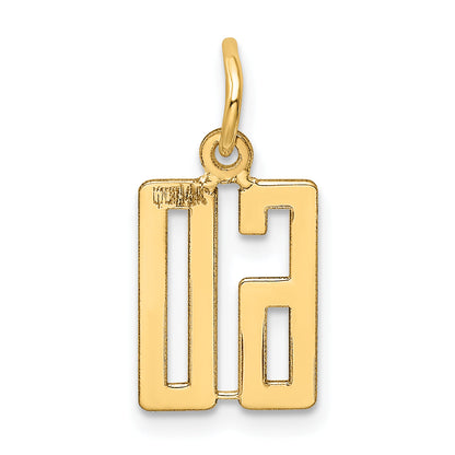 14K Yellow Gold Small Elongated Number 60 Charm