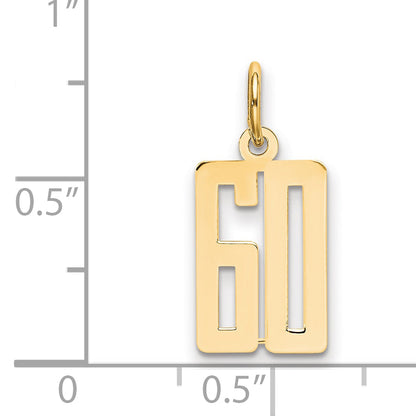 14K Yellow Gold Small Elongated Number 60 Charm