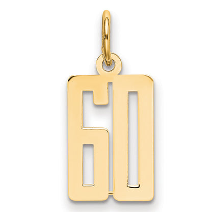 14K Yellow Gold Small Elongated Number 60 Charm