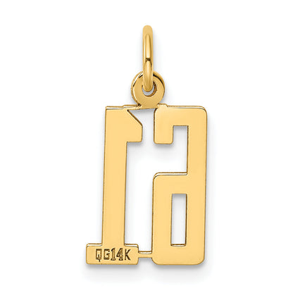 14K Yellow Gold Small Elongated Number 61 Charm