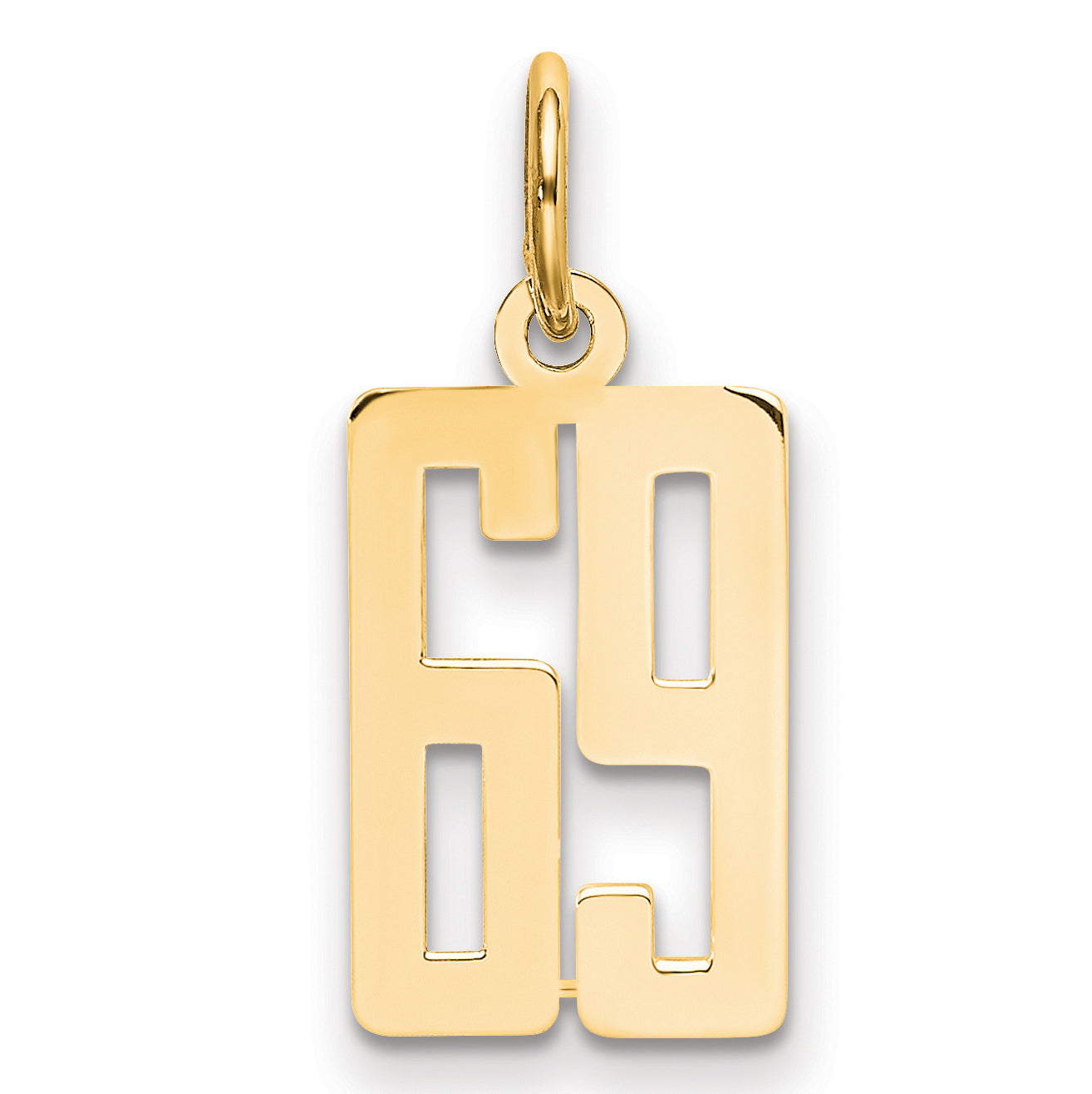 14K Yellow Gold Small Elongated Number 69 Charm