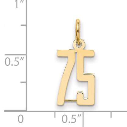 14K Yellow Gold Small Elongated Number 75 Charm