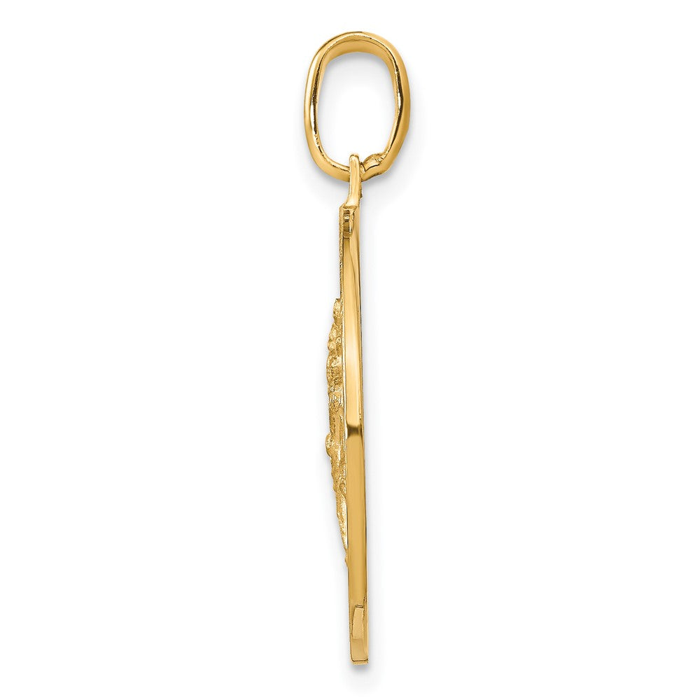 14K Yellow Gold Polished And Satin Round St. Christopher Pendant