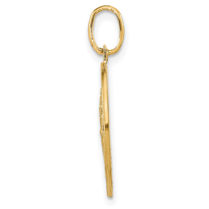 14K Yellow Gold Polished And Satin Round St. Christopher Pendant