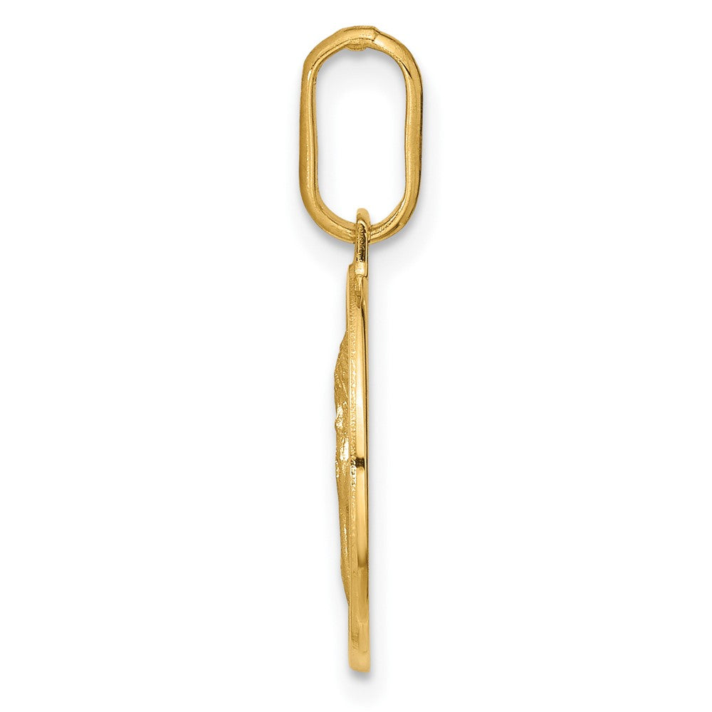 14K Yellow Gold Polished And Matte Angel Pendant