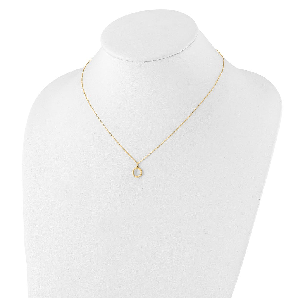 14K Yellow Gold Polished Mother Of Pearl Circle Necklace