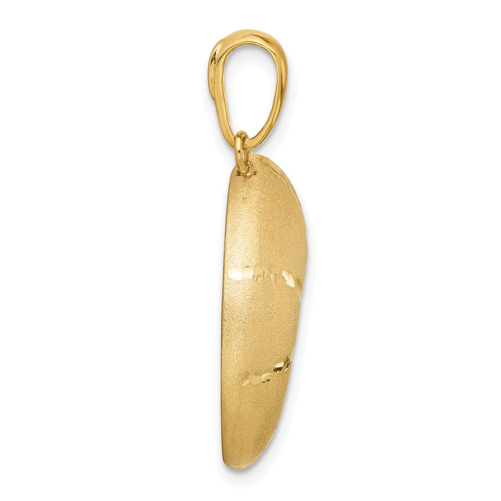 14K Yellow Gold Satin D/C Nautilus Shell Pendant