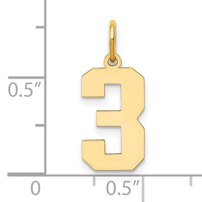 14k Yellow Gold 14k Medium Polished Number 3 Charm