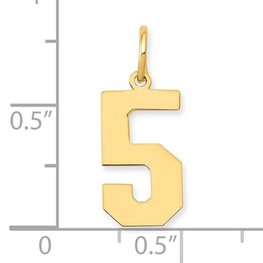 14k Yellow Gold 14k Medium Polished Number 5 Charm