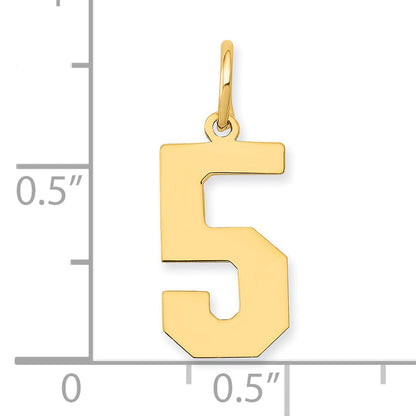 14k Yellow Gold 14k Medium Polished Number 5 Charm