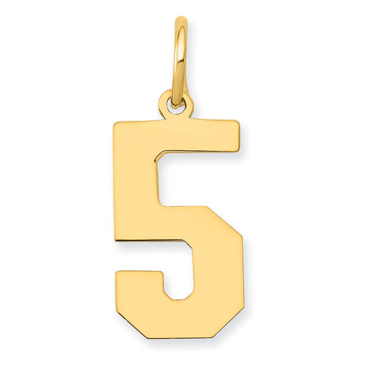 14k Yellow Gold 14k Medium Polished Number 5 Charm