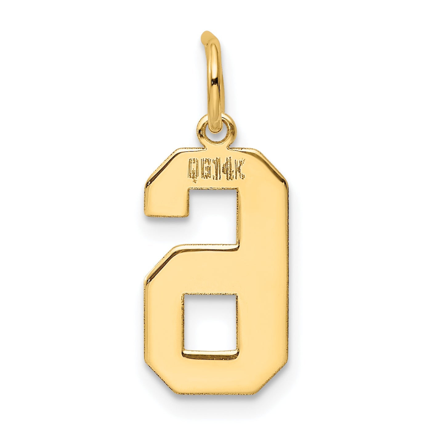 14k Yellow Gold 14k Medium Polished Number 6 Charm