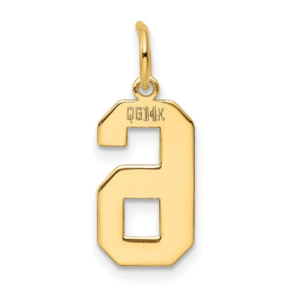 14k Yellow Gold 14k Medium Polished Number 6 Charm