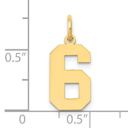 14k Yellow Gold 14k Medium Polished Number 6 Charm