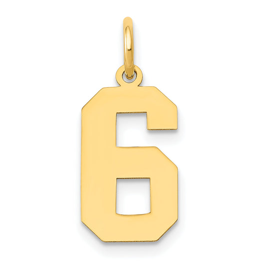 14k Yellow Gold 14k Medium Polished Number 6 Charm