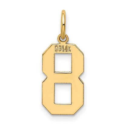 14k Yellow Gold 14k Medium Polished Number 8 Charm